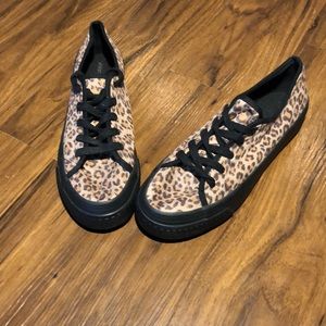 Canvas creepers